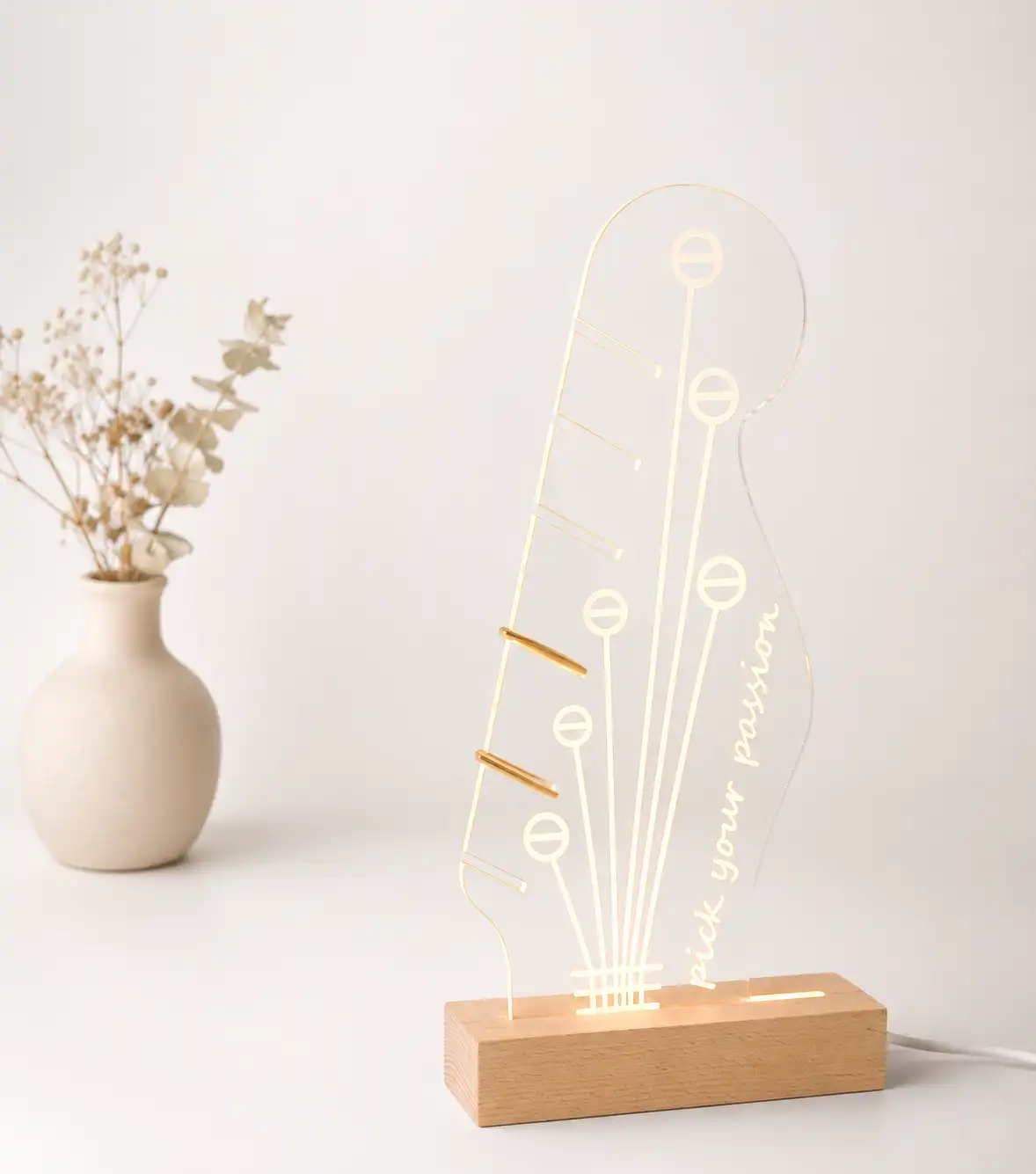 Guitar Pick Display Night Light