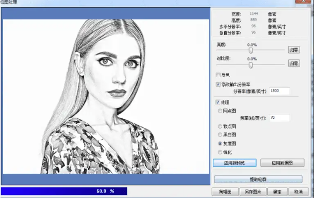 Bitmap resolution settings for the original wood photo engraving project