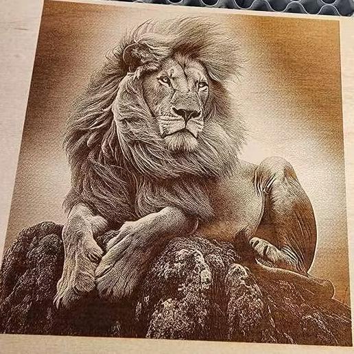 Wildlife photo laser engraved on wood