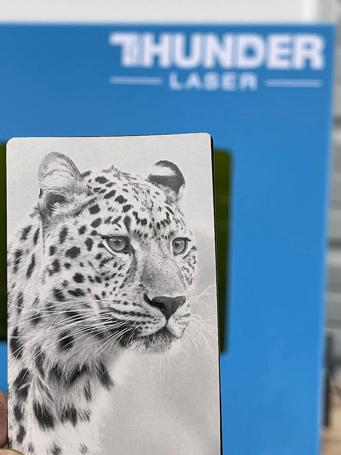 Laser photo engraving on metal