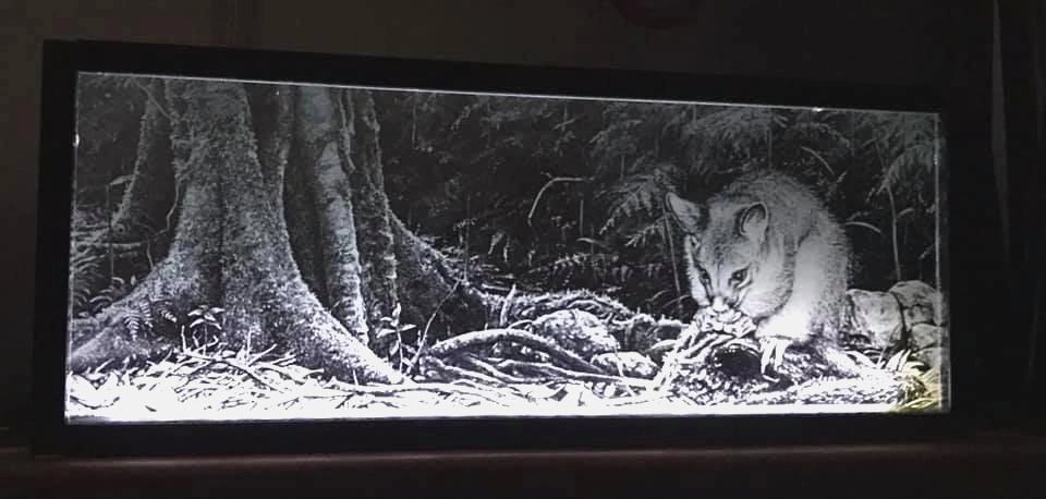 Laser engraving on glass with a glass laser engraving machine