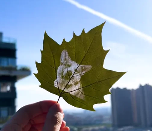 Custom Pet Portrait Leaf