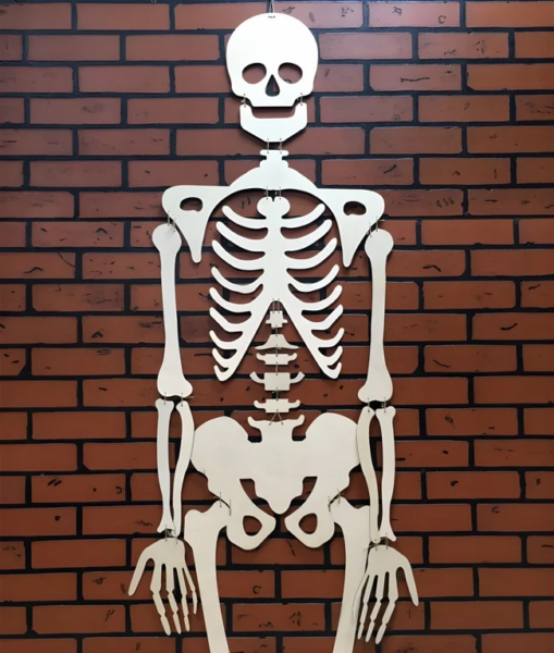 a laser cut skeleton