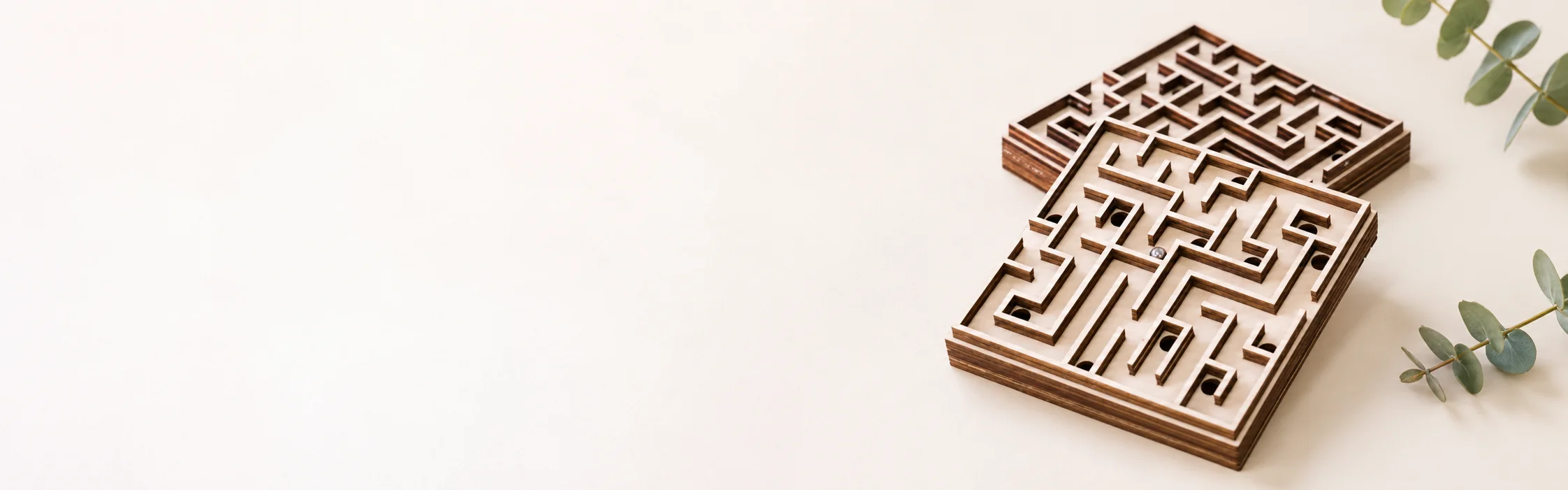 Ball-in Maze Toy