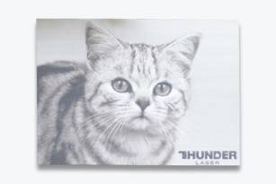 Cat photo carving