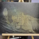 canvas