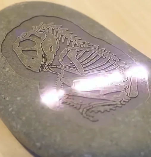 laser etching dinosaurs imitation fossil