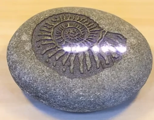 laser etching snail imitation fossil