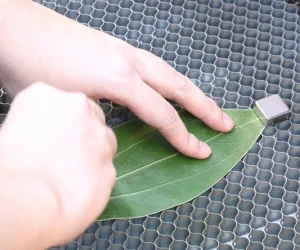 laser engraving leaf ornament 3