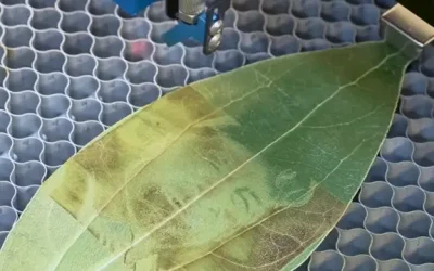 laser engraving leaf ornament 4